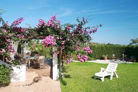 Highly insulated rustic Eco-homes utilising sustainable, locally sourced materials giving warm and comfortable, low maintenance homes with low running costs and low carbon footprints. Properties can be finished with stone external walls or a mix of stone, wood and paint-rendered walls.